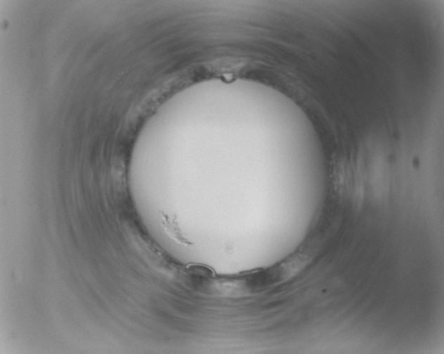 X0000051910283200507152039