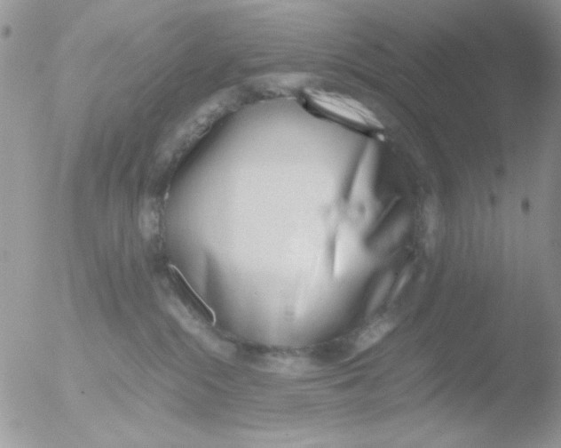 X0000051910284200507152039