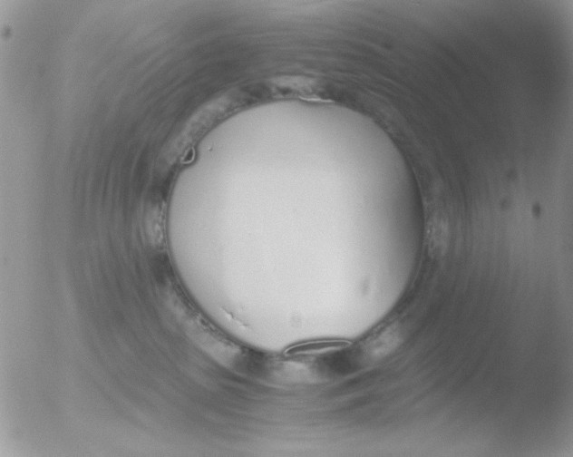 X0000051910285200507152039