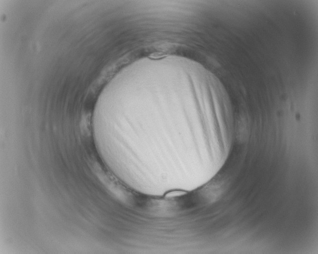 X0000051910286200507152039