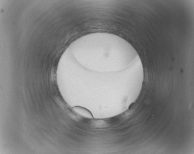 X0000051910287200507152039