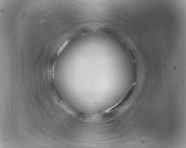 X0000051910288200507152039