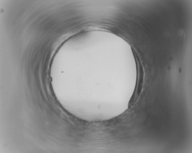 X0000051910289200507152038