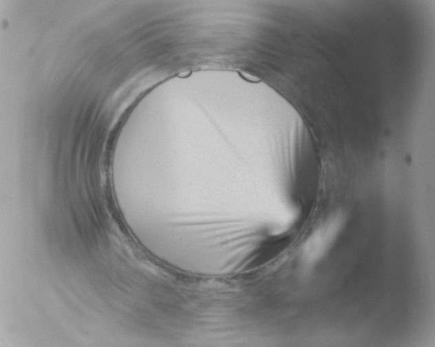 X0000051910290200507152038