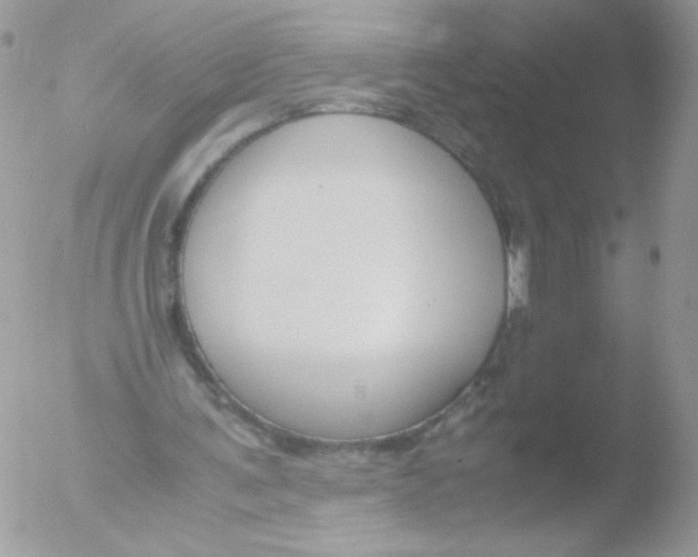 X0000051910291200507152038