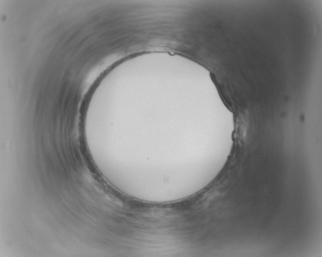 X0000051910292200507152038