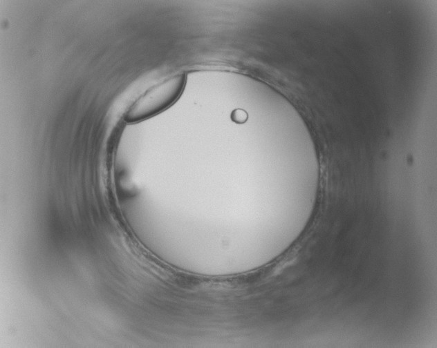 X0000051910294200507152038