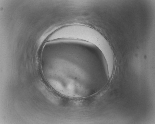 X0000051910295200507152038