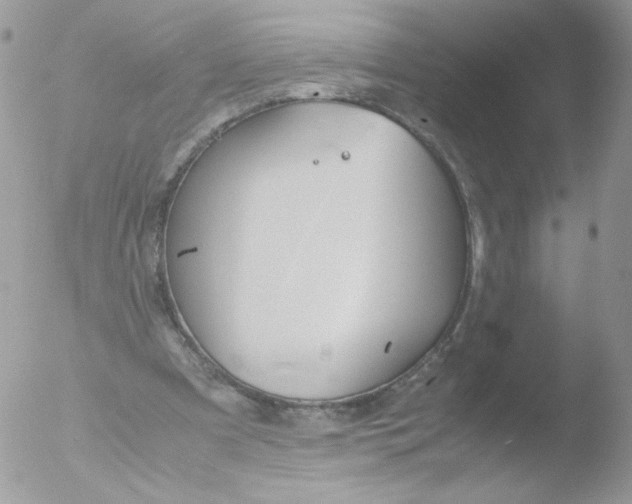 X0000051910297200507152038