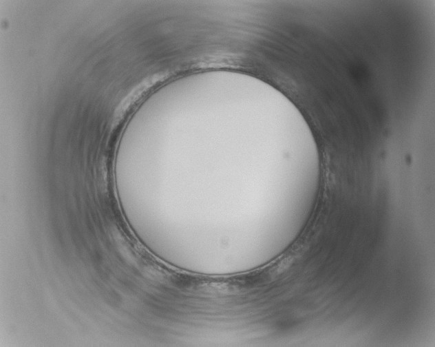 X0000051910298200507152038