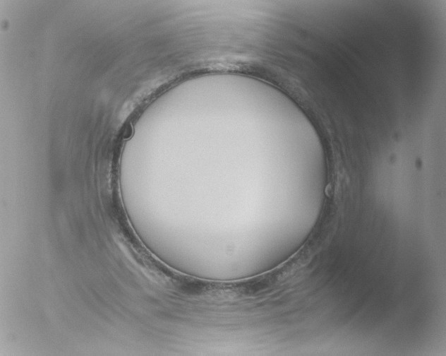 X0000051910299200507152038