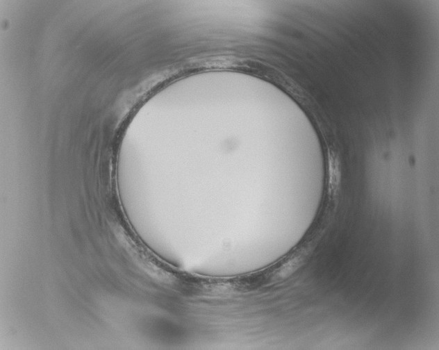 X0000051910301200507152038