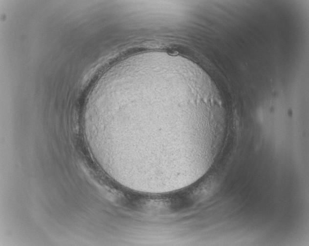 X0000051910303200507152038