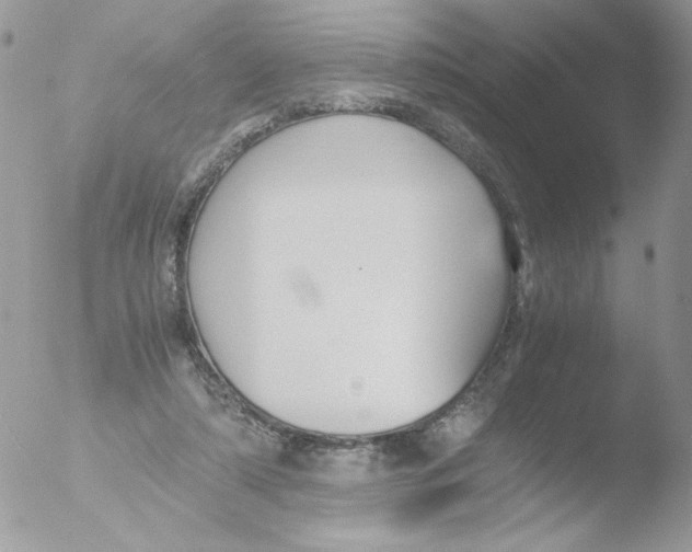 X0000051910306200507152038