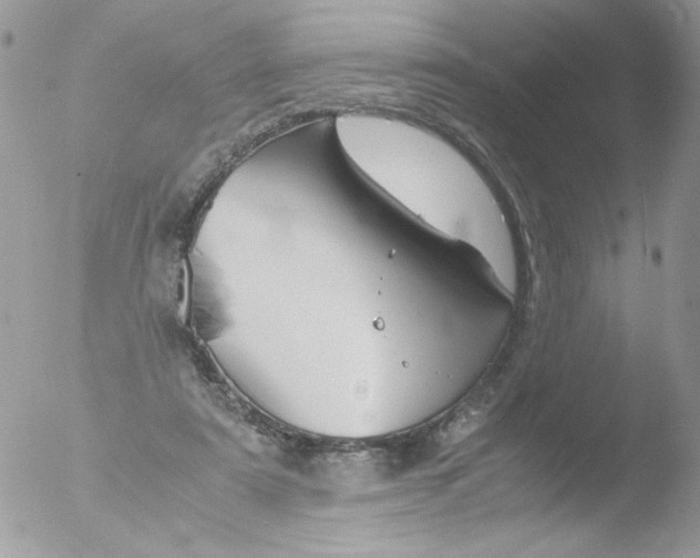 X0000051910307200507152038