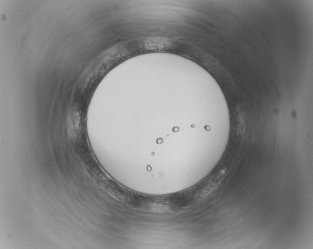 X0000051910308200507152038