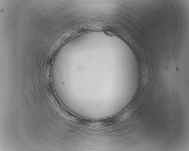 X0000051910309200507152038