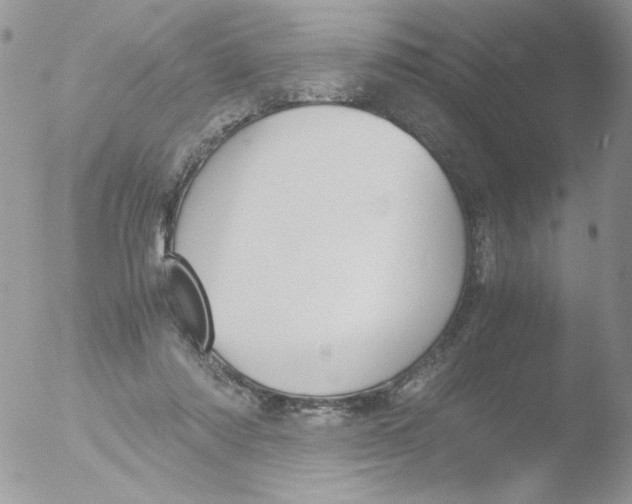 X0000051910310200507152038