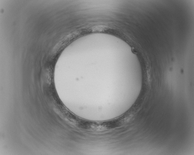 X0000051910311200507152038