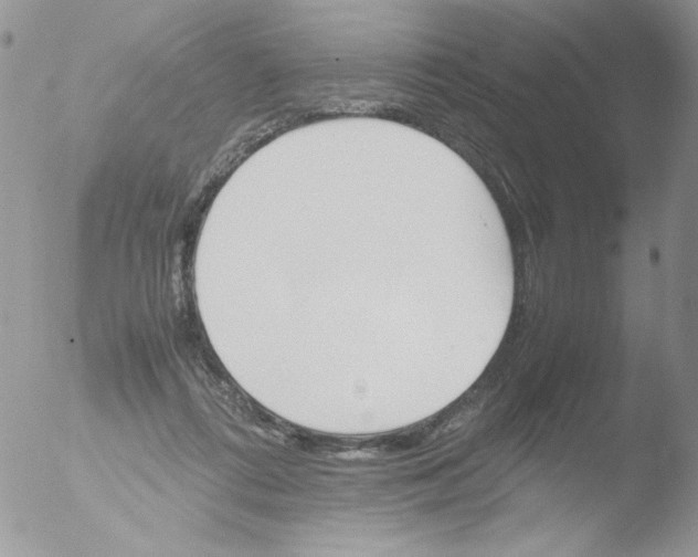 X0000051910312200507152038