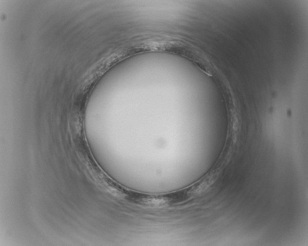 X0000051910313200507152038