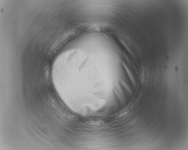 X0000051910314200507152038