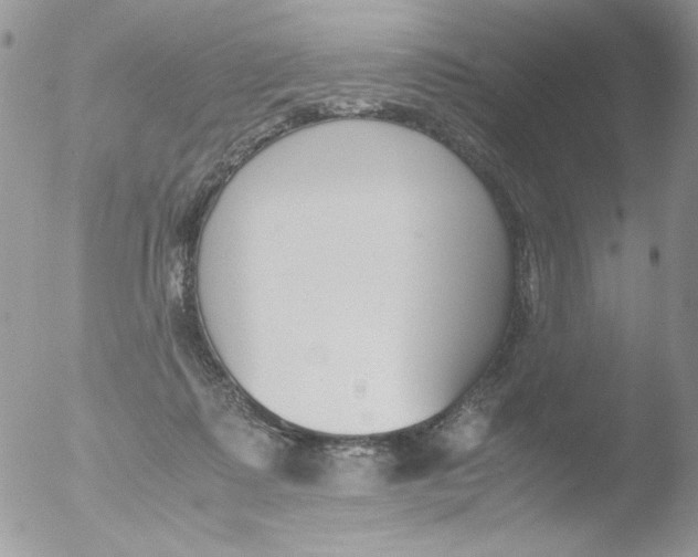 X0000051910315200507152038