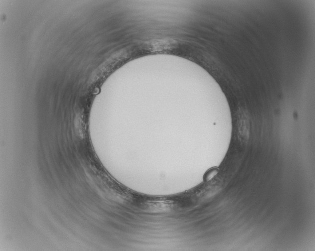 X0000051910316200507152038