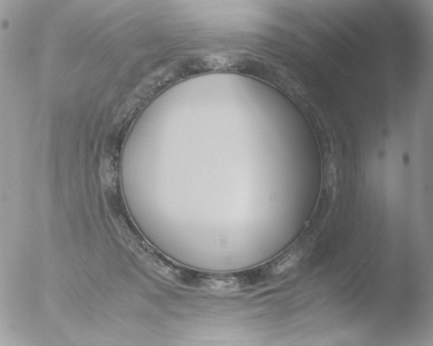 X0000051910317200507152038