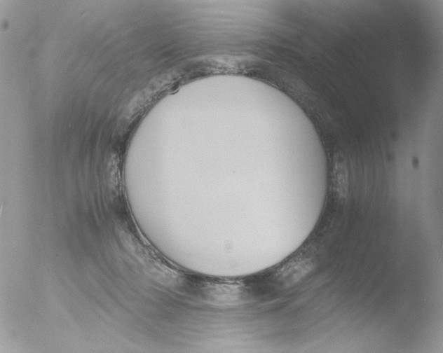 X0000051910318200507152038