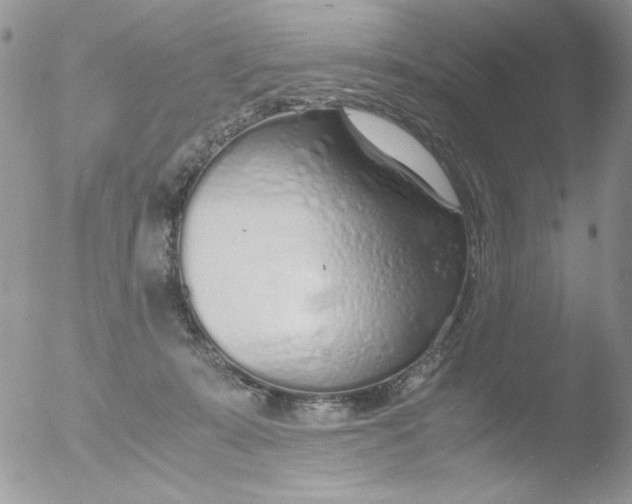 X0000051910319200507152038