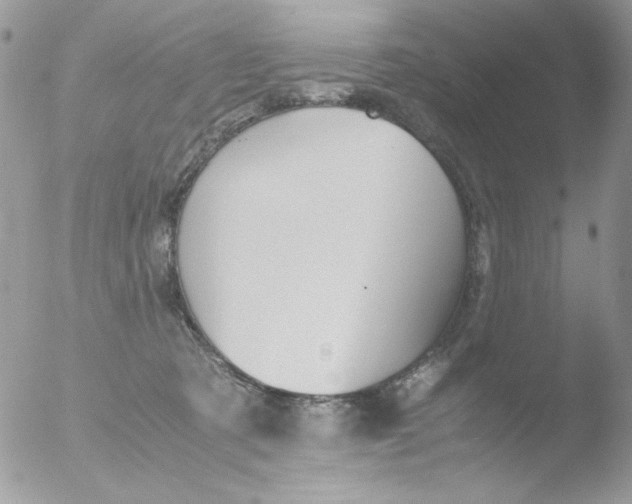 X0000051910321200507152037