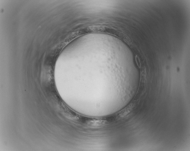 X0000051910323200507152037