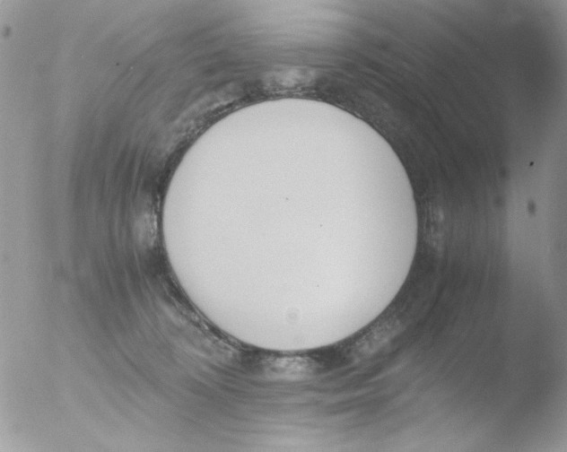 X0000051910324200507152037