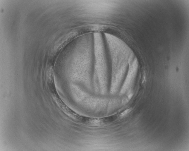 X0000051910325200507152037