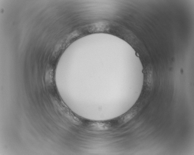 X0000051910326200507152037