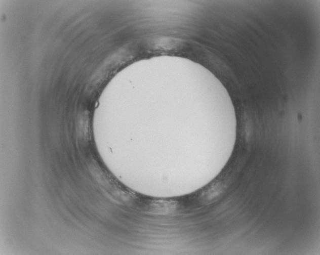 X0000051910328200507152037