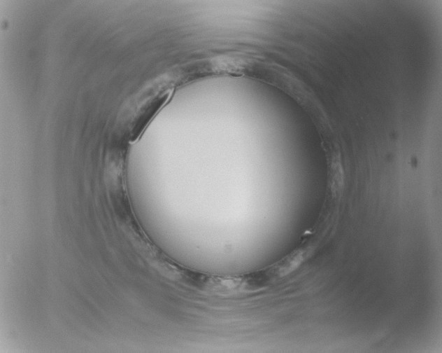 X0000051910329200507152037