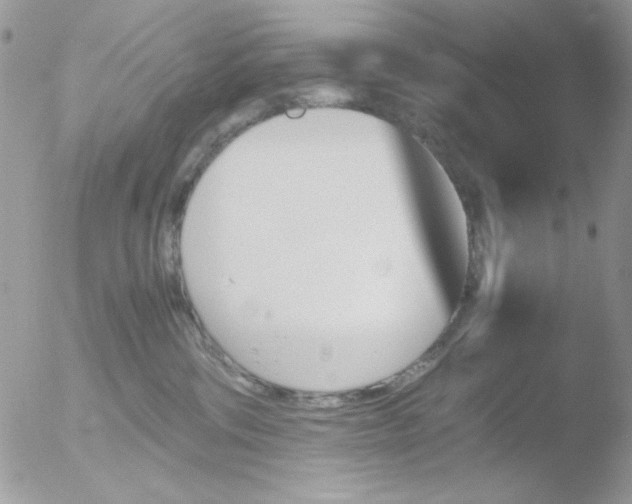 X0000051910330200507152037