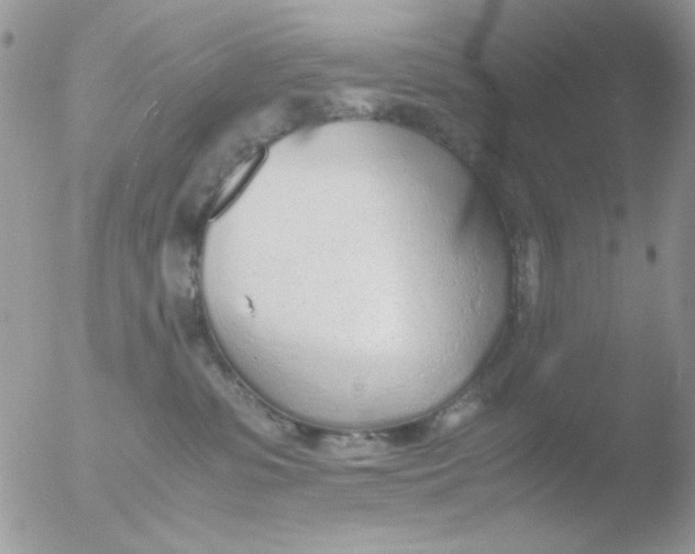 X0000051910331200507152037