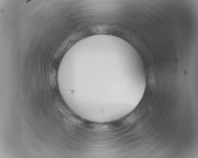 X0000051910332200507152037