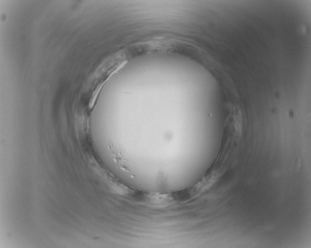 X0000051910333200507152037