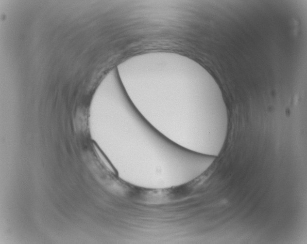 X0000051910335200507152037