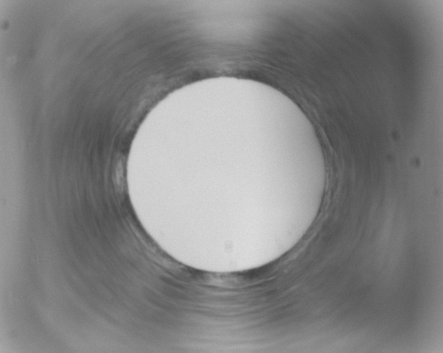 X0000051910336200507152037