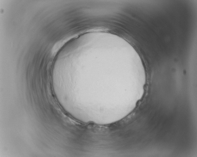 X0000051910337200507152036