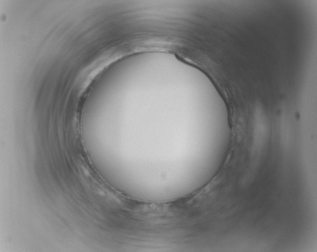 X0000051910338200507152036