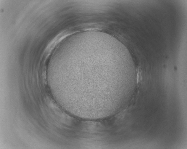 X0000051910339200507152036