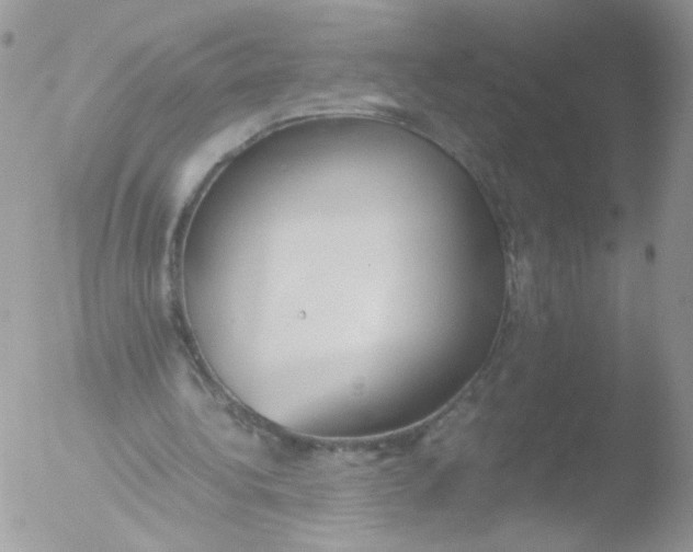 X0000051910340200507152036