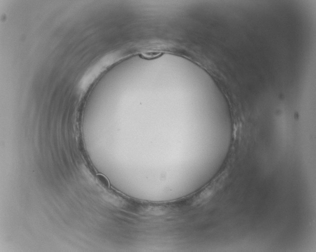 X0000051910341200507152036