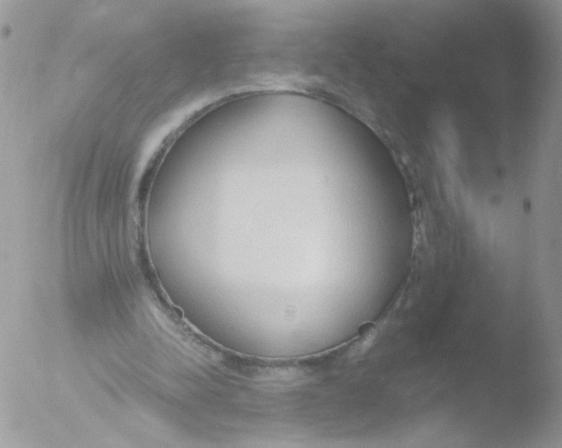 X0000051910342200507152036